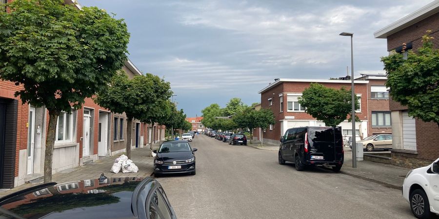 Palmanshoevestraat